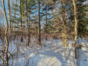 Photo for TBD W Mayberry Drive, Cass Lake, MN 56633 - Listing #5700068 TBD W Mayberry Drive, Cass Lake, MN 56633