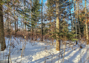 Photo for TBD W Mayberry Drive, Cass Lake, MN 56633 - Listing #5700068 TBD W Mayberry Drive, Cass Lake, MN 56633