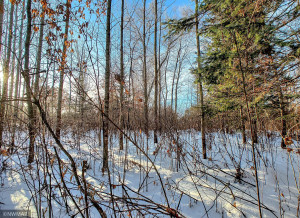 Photo for TBD W Mayberry Drive, Cass Lake, MN 56633 - Listing #5700068 TBD W Mayberry Drive, Cass Lake, MN 56633