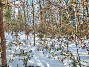 Photo for TBD W Mayberry Drive, Cass Lake, MN 56633 - Listing #5700068 TBD W Mayberry Drive, Cass Lake, MN 56633