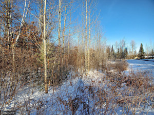 Photo for TBD W Mayberry Drive, Cass Lake, MN 56633 - Listing #5700068 TBD W Mayberry Drive, Cass Lake, MN 56633
