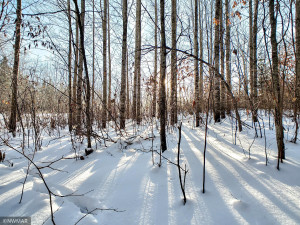 Photo for TBD W Mayberry Drive, Cass Lake, MN 56633 - Listing #5700068 TBD W Mayberry Drive, Cass Lake, MN 56633