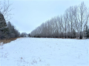 Photo for 17798 142nd Avenue NE, Thief River Falls, MN 56701 - Listing #5700351 17798 142nd Avenue NE, Thief River Falls, MN 56701