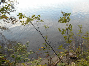 Photo for TBD Vahalla Lane, Cass Lake, MN 56633 - Listing #5701136 TBD Vahalla Lane, Cass Lake, MN 56633