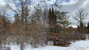 Photo for TBD Centerpoint Court NW, Bemidji, MN 56601 - Listing #5700619 TBD Centerpoint Court NW, Bemidji, MN 56601