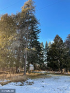 Photo for 255 66th Avenue NW, Williams, MN 56686 - Listing #5701588 255 66th Avenue NW, Williams, MN 56686