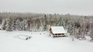 Photo for 6740 Scarlett Oak Drive, Gilbert, MN 55741 - Listing #5701360 6740 Scarlett Oak Drive, Gilbert, MN 55741