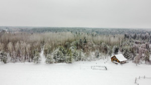 Photo for 6740 Scarlett Oak Drive, Gilbert, MN 55741 - Listing #5701360 Overhead of Log Home with Wooded area and cleared path