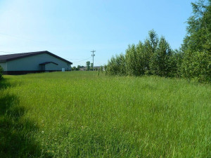 Photo for TBD Highway 11-71, International Falls, MN 56649 - Listing #5701759 TBD Highway 11-71, International Falls, MN 56649