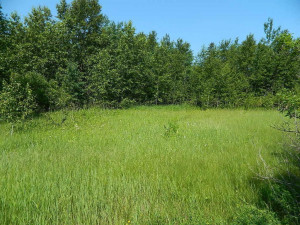 Photo for TBD Highway 11-71, International Falls, MN 56649 - Listing #5701759 TBD Highway 11-71, International Falls, MN 56649