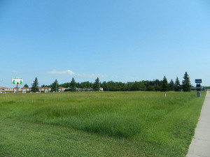 Photo for TBD Highway 11-71, International Falls, MN 56649 - Listing #5701759 TBD Highway 11-71, International Falls, MN 56649