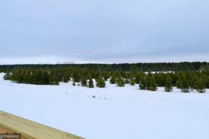 Photo for 1320 Whiting Road NW, 37, Bemidji, MN 56601 - Listing #5655960 67F1F73A-3278-4DD2-8BC9-4E63B2E76E0D_1_201_a
