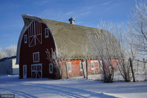 Photo for 32878 County Road 139, Badger, MN 56714 - Listing #5700745 32878 County Road 139, Badger, MN 56714