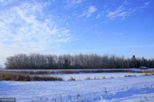 Photo for 32878 County Road 139, Badger, MN 56714 - Listing #5700745 32878 County Road 139, Badger, MN 56714