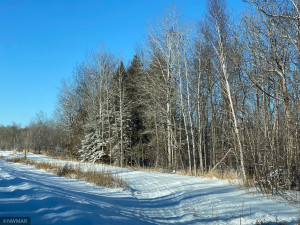 Photo for TBD Turtle River Lake Road NE, Bemidji, MN 56601 - Listing #5704112 TBD Turtle River Lake Road NE, Bemidji, MN 56601