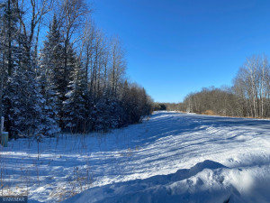 Photo for TBD Turtle River Lake Road NE, Bemidji, MN 56601 - Listing #5704112 TBD Turtle River Lake Road NE, Bemidji, MN 56601