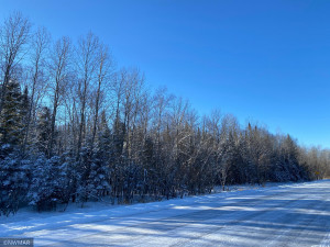 Photo for TBD Turtle River Lake Road NE, Bemidji, MN 56601 - Listing #5704112 TBD Turtle River Lake Road NE, Bemidji, MN 56601
