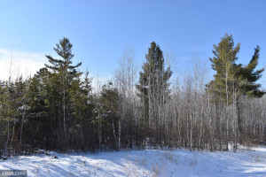 Photo for XXX Scenic Hwy 7, Bigfork, MN 56628 - Listing #5706513 XXX Scenic Hwy 7, Bigfork, MN 56628