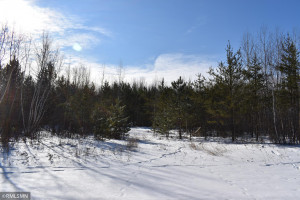 Photo for XXX Scenic Hwy 7, Bigfork, MN 56628 - Listing #5706513 XXX Scenic Hwy 7, Bigfork, MN 56628