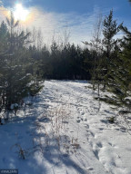 Photo for XXX Scenic Hwy 7, Bigfork, MN 56628 - Listing #5706513 XXX Scenic Hwy 7, Bigfork, MN 56628