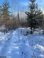Photo for XXX Scenic Hwy 7, Bigfork, MN 56628 - Listing #5706513 XXX Scenic Hwy 7, Bigfork, MN 56628