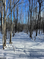 Photo for XXX Scenic Hwy 7, Bigfork, MN 56628 - Listing #5706513 XXX Scenic Hwy 7, Bigfork, MN 56628