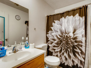 Photo for 1356 Circle Terrace Boulevard NE, Columbia Heights, MN 55421 - Listing #5645634 1356 Circle Terrace Boulevard-015-015-2nd Floor Master Bathroom-MLS_Size
