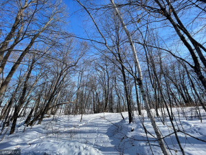 Photo for TBD Williams Road SE, Cass Lake, MN 56633 - Listing #5710156 TBD Williams Road SE, Cass Lake, MN 56633