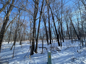 Photo for TBD Williams Road SE, Cass Lake, MN 56633 - Listing #5710156 TBD Williams Road SE, Cass Lake, MN 56633