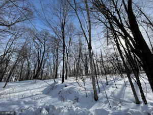 Photo for TBD Williams Road SE, Cass Lake, MN 56633 - Listing #5710156 TBD Williams Road SE, Cass Lake, MN 56633