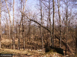Photo for TBD Williams Road SE, Cass Lake, MN 56633 - Listing #5710156 TBD Williams Road SE, Cass Lake, MN 56633