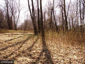 Photo for TBD Williams Road SE, Cass Lake, MN 56633 - Listing #5710156 TBD Williams Road SE, Cass Lake, MN 56633