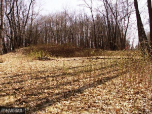 Photo for TBD Williams Road SE, Cass Lake, MN 56633 - Listing #5710156 TBD Williams Road SE, Cass Lake, MN 56633