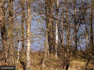Photo for TBD Williams Road SE, Cass Lake, MN 56633 - Listing #5710156 TBD Williams Road SE, Cass Lake, MN 56633