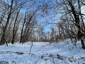 Photo for TBD Williams Road SE, Cass Lake, MN 56633 - Listing #5710156 TBD Williams Road SE, Cass Lake, MN 56633