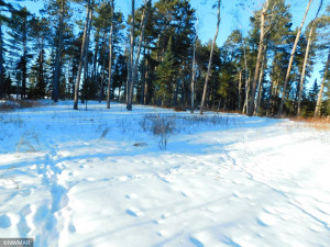 Photo for TBD Jack Pine Lane, Nevis, MN 56467 - Listing #5709892 TBD Jack Pine Lane, Nevis, MN 56467