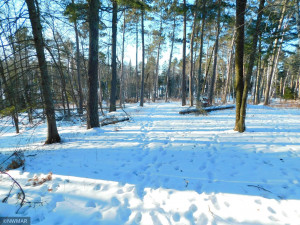 Photo for TBD Jack Pine Lane, Nevis, MN 56467 - Listing #5709892 TBD Jack Pine Lane, Nevis, MN 56467