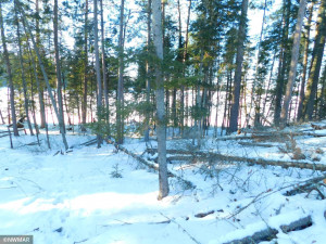 Photo for TBD Jack Pine Lane, Nevis, MN 56467 - Listing #5709892 TBD Jack Pine Lane, Nevis, MN 56467