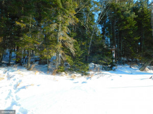 Photo for TBD Jack Pine Lane, Nevis, MN 56467 - Listing #5709892 TBD Jack Pine Lane, Nevis, MN 56467