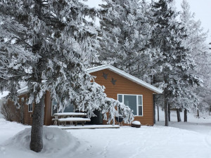 Photo for 19262 N Blackduck Lake Road NE, Hines, MN 56647 - Listing #5694171 19262 N Blackduck Lake Road NE, Hines, MN 56647
