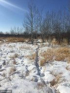 Photo for 35092 210th Street, Roseau, MN 56751 - Listing #5715479 35092 210th Street, Roseau, MN 56751