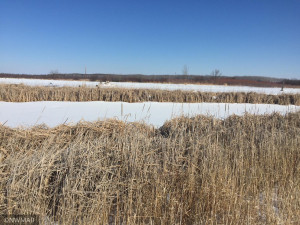 Photo for 35092 210th Street, Roseau, MN 56751 - Listing #5715479 35092 210th Street, Roseau, MN 56751