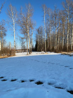 Photo for 4214 County Road 79, Littlefork, MN 56653 - Listing #5724618 4214 County Road 79, Littlefork, MN 56653