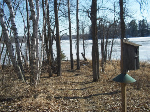 Photo for 14033 Jay Court NE, Bemidji, MN 56601 - Listing #5726596 14033 Jay Court NE, Bemidji, MN 56601