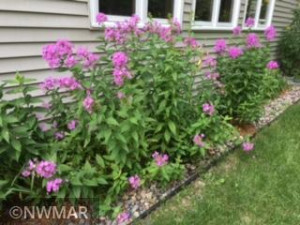 Photo for 26109 Pleasant Valley Road NW, Bemidji, MN 56601 - Listing #5726936 26109 Pleasant Valley Road NW, Bemidji, MN 56601
