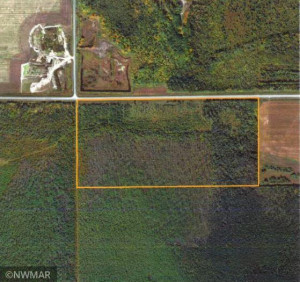 Photo for TBD 48th Street NW, Williams, MN 56686 - Listing #5729352 TBD 48th Street NW, Williams, MN 56686