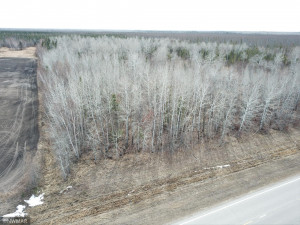Photo for TBD 48th Street NW, Williams, MN 56686 - Listing #5729352 TBD 48th Street NW, Williams, MN 56686