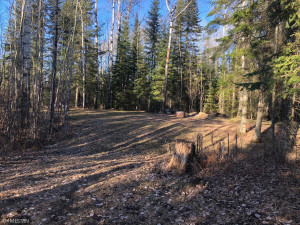 Photo for 2961 Town Road 211, International Falls, MN 56649 - Listing #5733035 2961 Town Road 211, International Falls, MN 56649