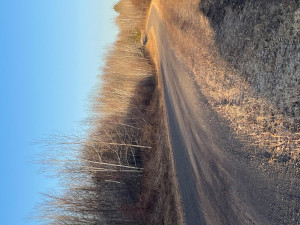 Photo for 1 Brothers Loop Rd, Solon Springs, WI 54873 - Listing #5736479 1 Brothers Loop Rd, Solon Springs, WI 54873