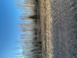Photo for 2 Brothers Loop Rd, Solon Springs, WI 54873 - Listing #5736501 2 Brothers Loop Rd, Solon Springs, WI 54873